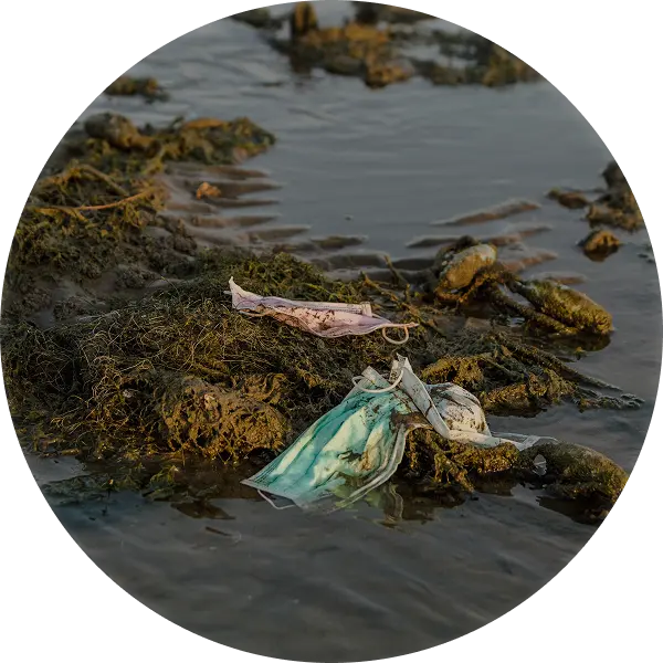 environment img