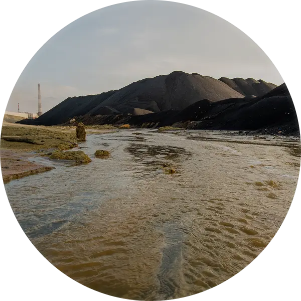 environment img